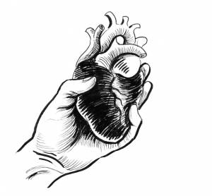 Рука держит человеческое сердце