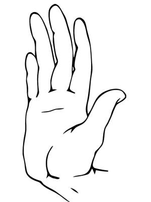 Раскраски Раскраска Ладонь Строение тела