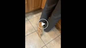 Специальные подборки для сайта »  3