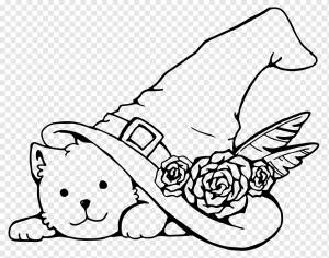 Кошка, Шляпа Ведьмы, Хэллоуин, Милый, Домашнее животное, Котенок, Штриховая графика, Рисование, png