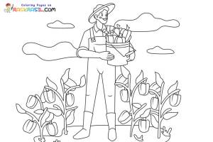 Раскраски Урожай