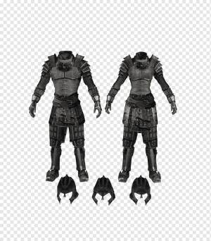 The Elder Scrolls V