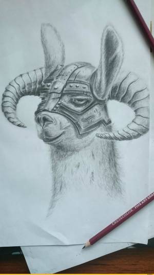 Skyrim
