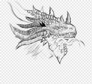 Drawing Line art Sketch, мир варкрафта, дракон, монохромный, голова png