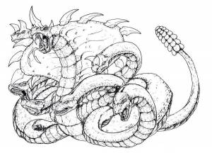 The Hydra Strikes