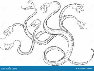 Hydra иллюстрация вектора