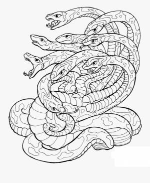 Раскраски Гидра