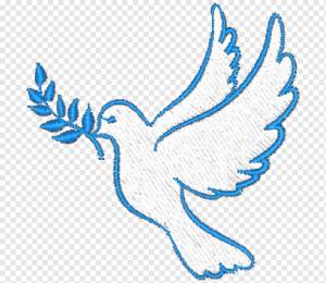 Оливковая ветвь мира голуби как символы Коломба, символ, разное, курица, позвоночный png