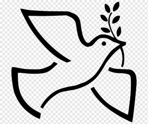 Символы мира Голуби как символы Оливковая ветвь, голубь, Разное, белый, лист png