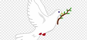 Columbidae Символы мира Голуби как символы Оливковая ветвь, символ, любовь, разное, угол png