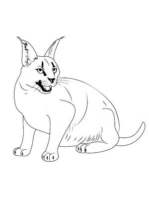 Раскраски Кот Шлёпа