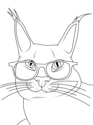 Раскраски Кот Шлёпа