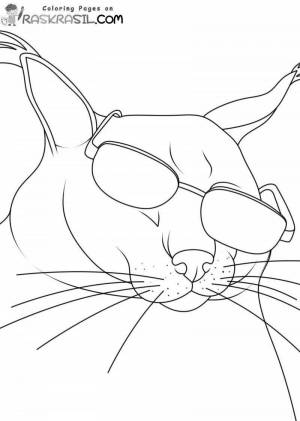 Раскраски Шлепа кот