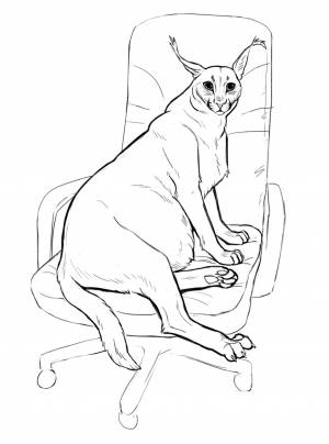 шлепа росгвардеец нижний текст