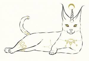 Раскраски кот шлепа в тазике