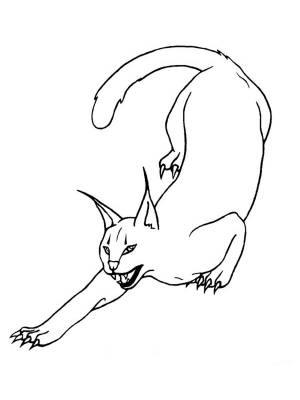 Кот шлепа раскраска