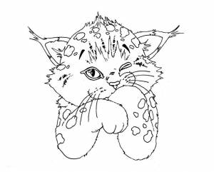 Раскраски шлепа