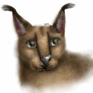 Большой Шлёпа