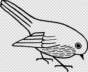 Рисунок птицы, улей, животные, galliformes, монохромный png