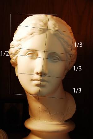 Рисунок женской головы