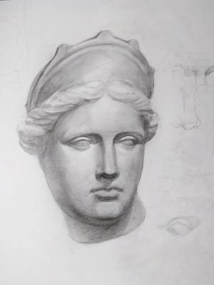 Венера гипсовая голова рисунок