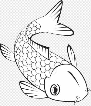 Koi Книжка-раскраска Тропическая рыба Золотая рыбка, рыба, белый, морской Млекопитающее, ребенок png