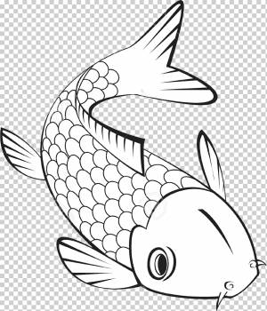 Koi Книжка-раскраска Тропическая рыба Золотая рыбка, рыба, белый, морской Млекопитающее, ребенок png