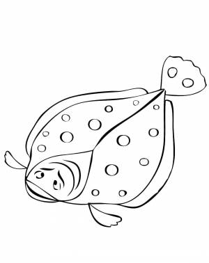 Раскраски Раскраска Камбала раскраски морское
