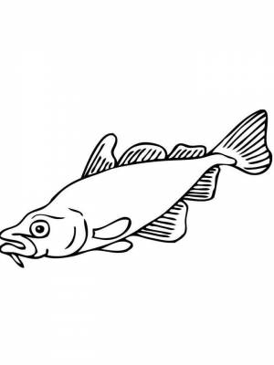 Раскраска рыба Карп  в формате  онлайн