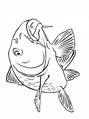 Картинка рыба Карп раскраска в формате  онлайн