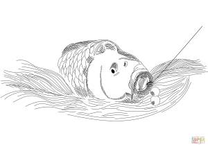 Раскраска Карп попался на приманку