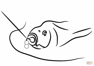 Раскраска Карп на крючке