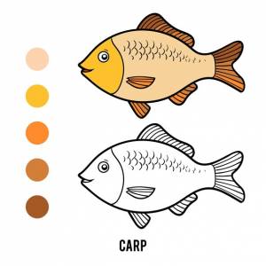 Раскраска для детей карп