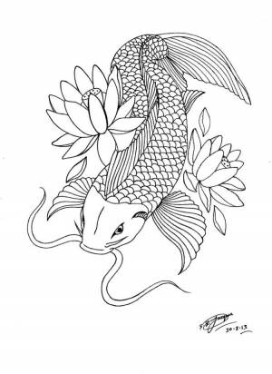 Раскраски рыба карп