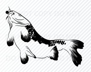 Карп раскраска