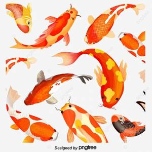 декоративных карпов иллюстрация материал вектор PNG , вектор, карп иллюстрация материалов Библиотеки эстетизм, карп декоративные иллюстрация материал PNG картинки и пнг PSD рисунок для й загрузки