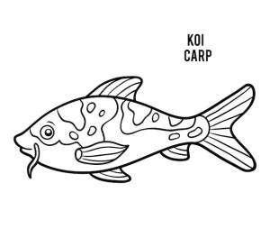 Книжка-раскраска для детей, мультяшное животное, карп кои