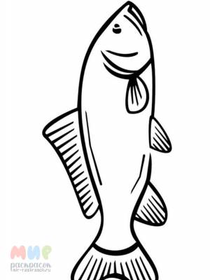Раскраска Рыба Карп