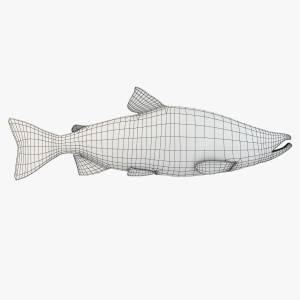 Лосось нерки 3D Модель $29