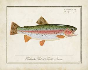 Пин от пользователя Dee Whitten на доске fishing and frogs