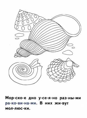 Раскраски ракушки