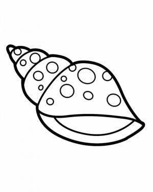 Раскраска Ракушка с узорами