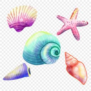 Комбинация морских ракушек морская акварель различные морские обитатели PNG , ракушка, океан, акварель PNG картинки и пнг PSD рисунок для й загрузки