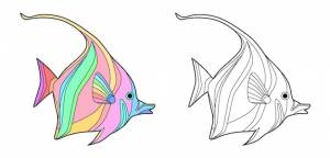 Раскраска рыба-ангел