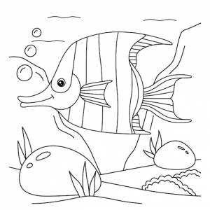 Раскраска рыбка-ангел для детей