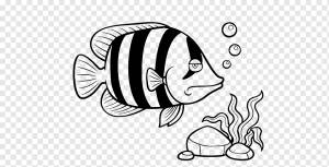 Золотая рыбка Рисунок Пресноводная рыба-ангел, рыба, белый, млекопитающее, животные png