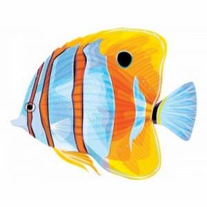 Голубая рыба ангел