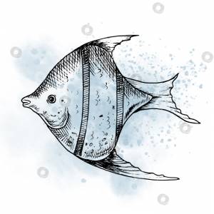 Графический рисунок рыбы-ангела акварельным пятном
