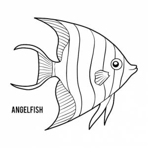 Раскраска для детей рыбка-ангел