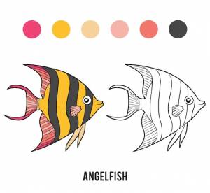 Книжка-раскраска рыба-ангел